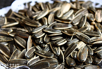 葵瓜子能種向日葵嗎？葵瓜子怎么種出向日葵？