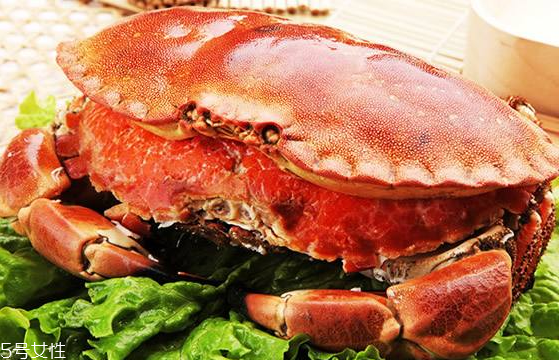 面包蟹能冷凍嗎？面包蟹可以放冰箱嗎？