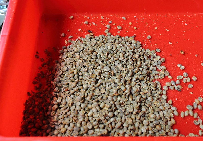 咖啡豆新豆、舊豆、老豆各有什么特色