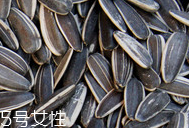 葵瓜子的熱量 葵瓜子會(huì)長(zhǎng)胖嗎？