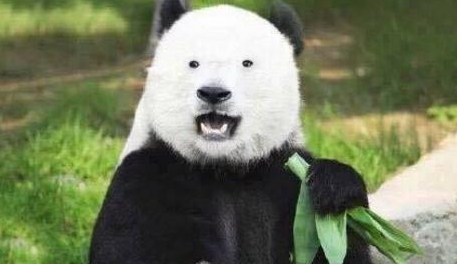 激光去黑眼圈多久恢復(fù)？激光除黑眼圈多久見效