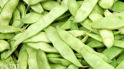 蕓豆是什么？蕓豆是豆角嗎？