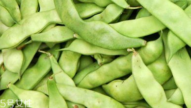 蕓豆是什么？蕓豆是豆角嗎？