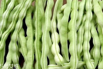 蕓豆和白蕓豆的區(qū)別 蕓豆和白蕓豆的功效 蕓豆和白蕓豆的區(qū)別 蕓豆和白蕓豆的功效