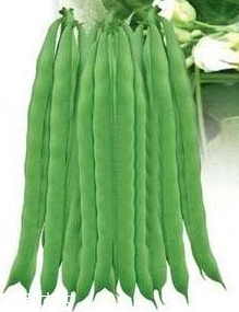 蕓豆能生吃嗎？蕓豆生吃會(huì)怎樣？