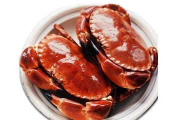 面包蟹為什么那么難吃？為什么說面包蟹很難吃？