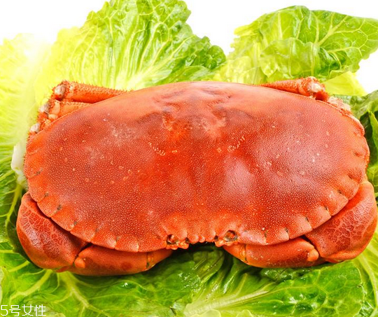 面包蟹肉多嗎？面包蟹幾月份最肥