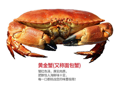 面包蟹肉多嗎？面包蟹幾月份最肥