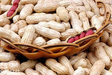 花生衣是生的還是熟的？花生衣生的好還是熟的好？