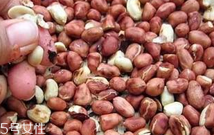 花生衣和花生衣粉的區(qū)別 花生衣粉難吃嗎？