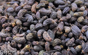 女貞子是藥物嗎？女貞子是做什么的？