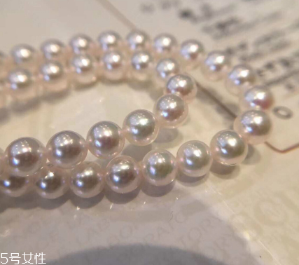 珍珠項鏈多少錢？珍珠項鏈真品價格