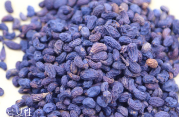 女貞子和枸杞子能一起吃嗎？女貞子和枸杞子一起吃有什么效果？