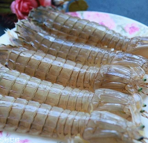 皮皮蝦能長(zhǎng)多大？皮皮蝦最大有多大？