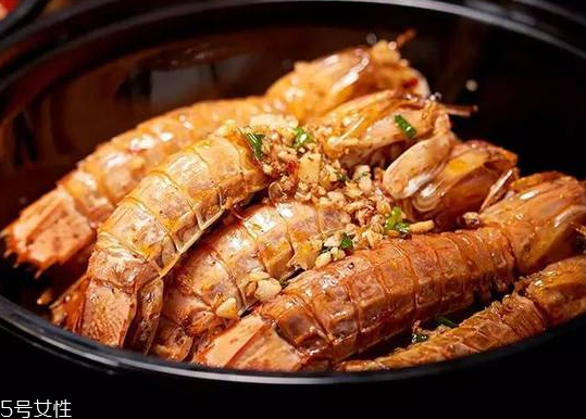 皮皮蝦能長(zhǎng)多大？皮皮蝦最大有多大？