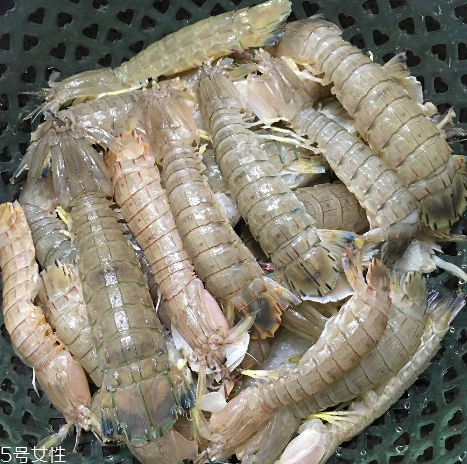 皮皮蝦能和櫻桃一起吃嗎？皮皮蝦和櫻桃可以同吃嗎？