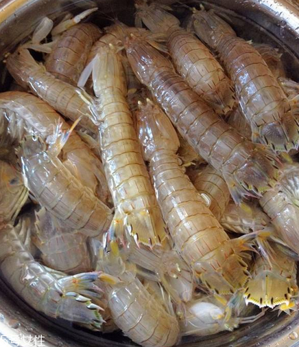 皮皮蝦能和荔枝一起吃嗎？皮皮蝦可以和荔枝同吃嗎？