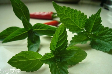 藿香和頭孢能一起吃嗎？藿香和頭孢能一起吃嗎？