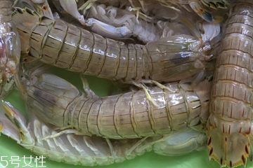 皮皮蝦皮能不能吃？皮皮蝦可以連皮吃嗎？