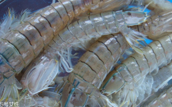 皮皮蝦皮能不能吃？皮皮蝦可以連皮吃嗎？