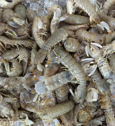 皮皮蝦是海鮮嗎？皮皮蝦是海鮮還是河鮮？