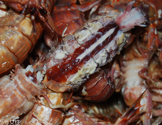 皮皮蝦分公母嗎？皮皮蝦怎么分公母？