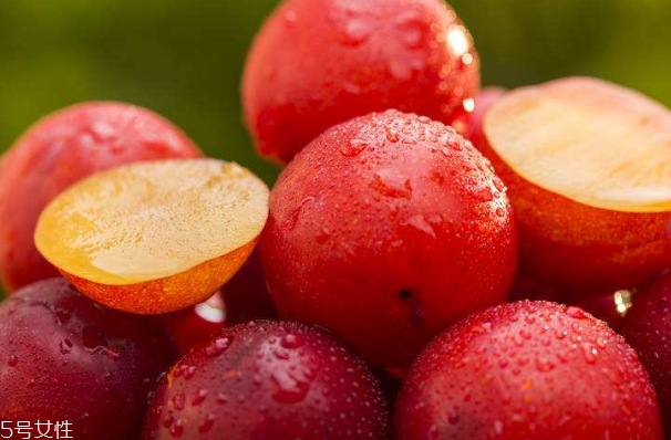 梅花是發(fā)物嗎？皮膚過敏的人能喝梅花茶嗎？