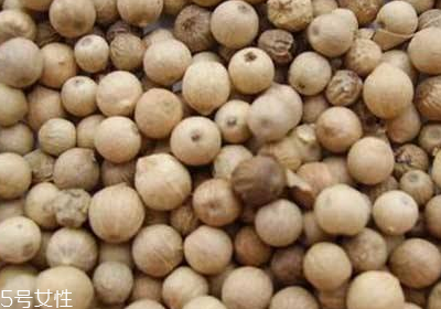 白胡椒是什么？白胡椒是白色的？