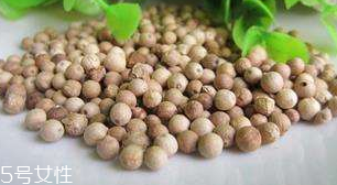 白胡椒能代替黑胡椒嗎？白胡椒的營養(yǎng)價值