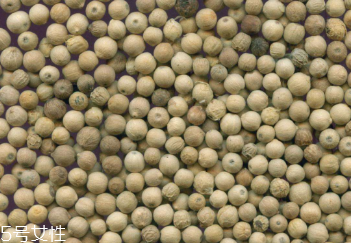 白胡椒的種植 白胡椒怎么種植？