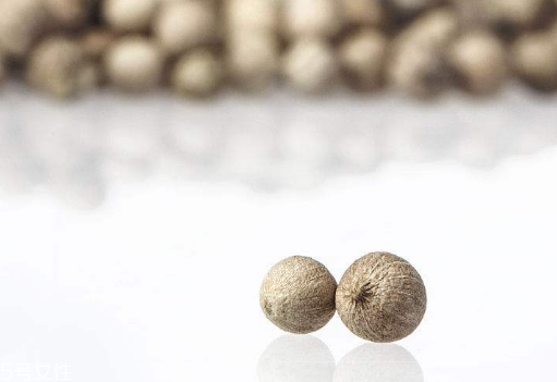 白胡椒的種植 白胡椒怎么種植？