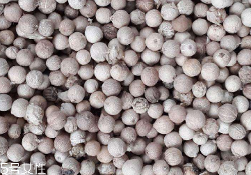 白胡椒能腌制牛排嗎？白胡椒可以用什么代替？