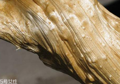 姜糖的熱量 姜糖會(huì)讓人長胖嗎？