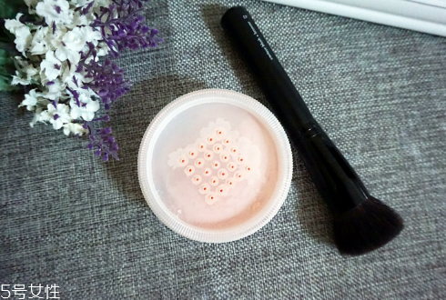 干性皮膚適合用散粉嗎 干性皮膚適合用定妝粉嗎 干性皮膚適合用散粉嗎 干性皮膚適合用定妝粉嗎