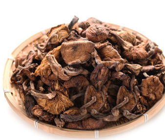 榛蘑和蘿卜相克嗎？榛蘑能不能和蘿卜一起吃？