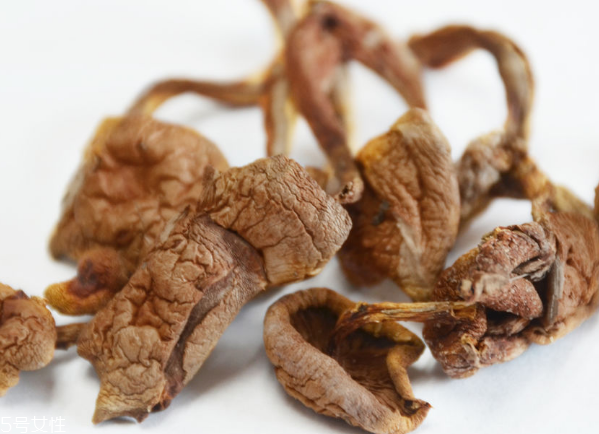 榛蘑和蘿卜相克嗎？榛蘑能不能和蘿卜一起吃？