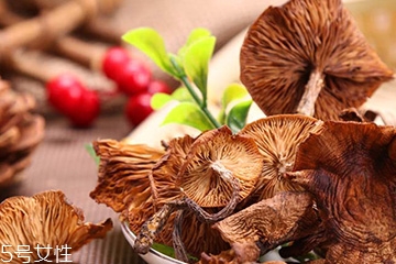 榛蘑和蘿卜相克嗎？榛蘑能不能和蘿卜一起吃？