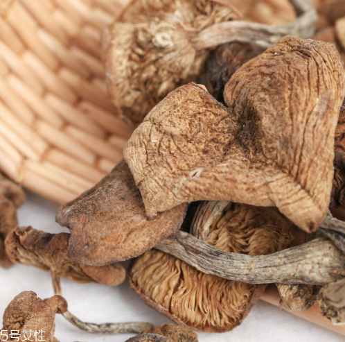 榛蘑的嘌呤含量 嘌呤是什么？