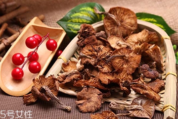 榛蘑的好處 榛蘑對(duì)人有什么益處？