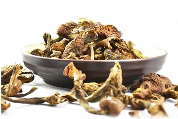 榛蘑能和土豆一起吃嗎？榛蘑和土豆一起吃的功效