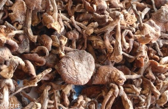 榛蘑和木耳的區(qū)別 榛蘑和木耳能一起吃嗎？