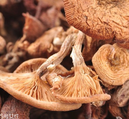榛蘑和木耳的區(qū)別 榛蘑和木耳能一起吃嗎？