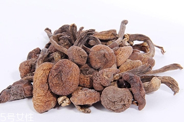 榛蘑的宜忌人群 哪些人適合吃榛蘑？