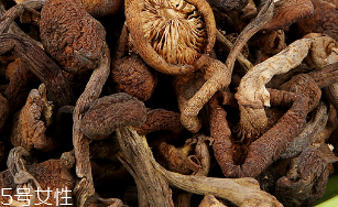 榛蘑和茶樹菇的區(qū)別 榛蘑和茶樹菇能一起吃嗎 榛蘑和茶樹菇的區(qū)別 榛蘑和茶樹菇能一起吃嗎