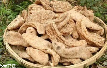 榛蘑和天麻的關(guān)系 榛蘑和天麻有什么聯(lián)系？