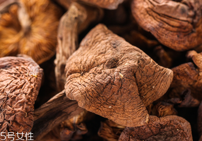 榛蘑多久能成熟？榛蘑的成熟期