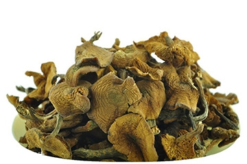 榛蘑怎么泡發(fā)？榛蘑怎么清洗？