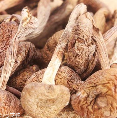 榛蘑怎么泡發(fā)？榛蘑怎么清洗？