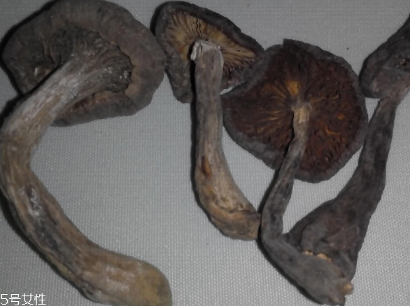 榛蘑怎么泡發(fā)？榛蘑怎么清洗？