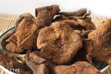 榛蘑和香菇能一起吃嗎？